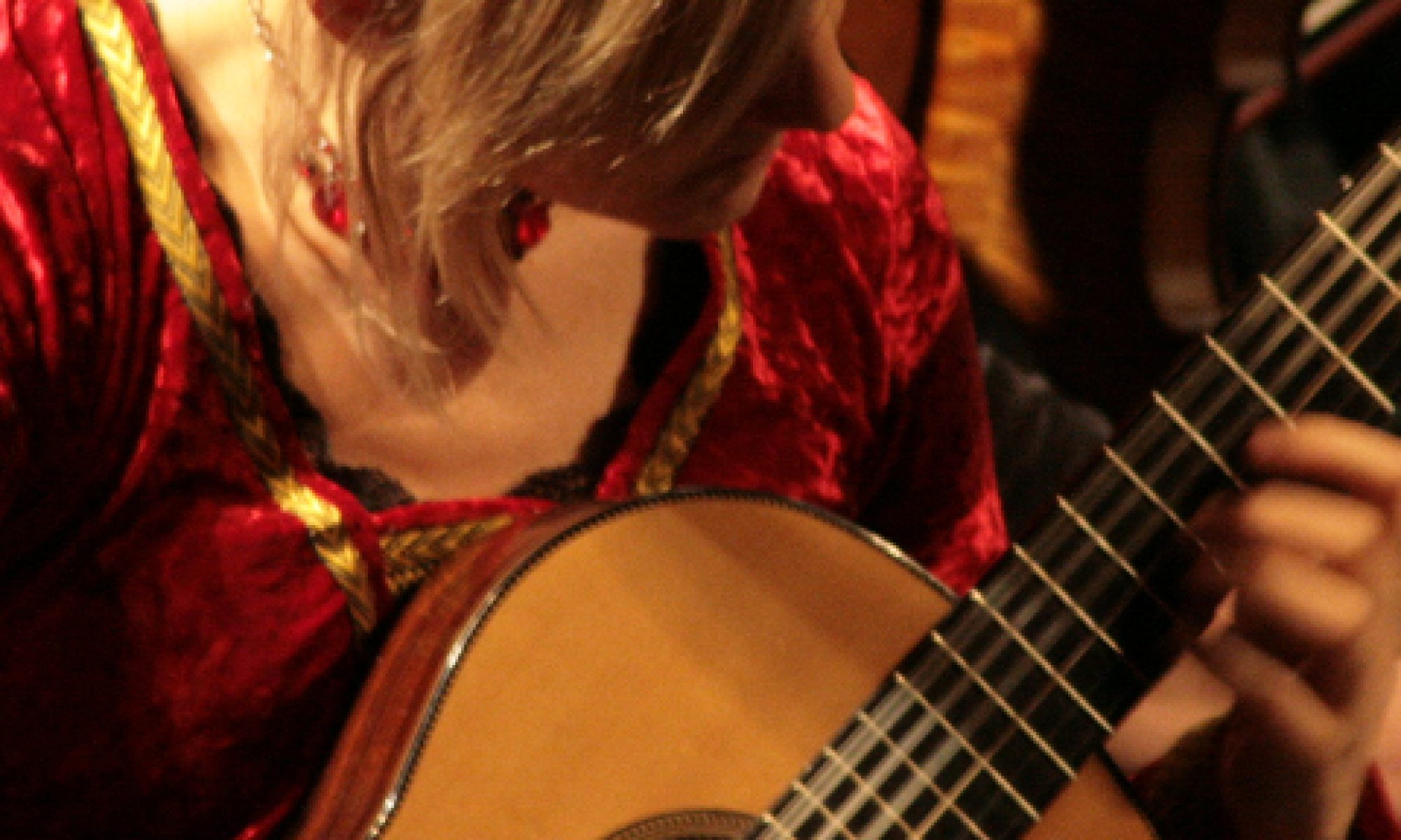 The Classical Guitar Compendium with tab Bridget Mermikides